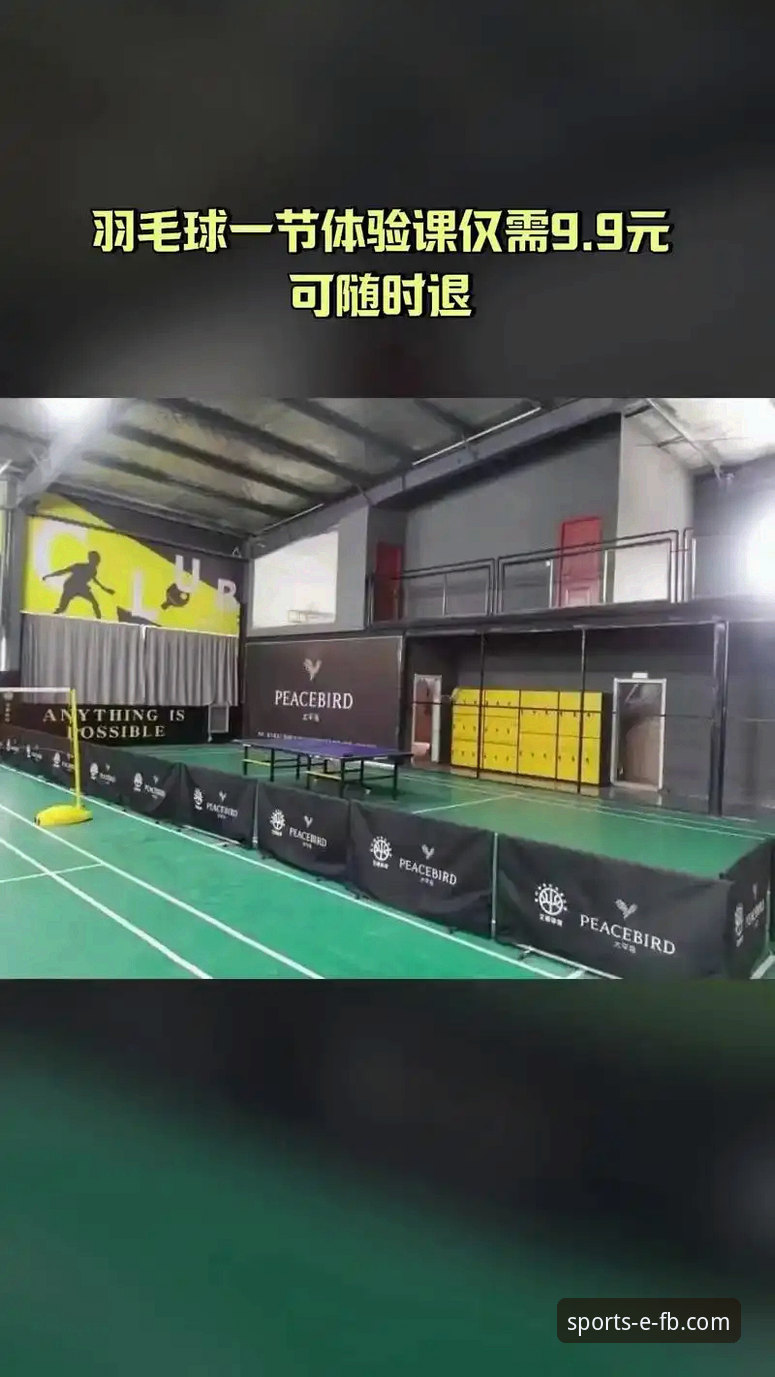 FB体育平台v2.2.0版本全面解析：实战评测与效率提升指南