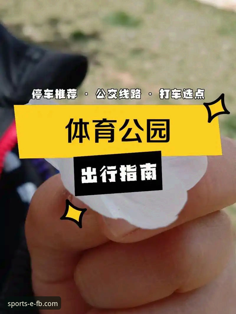 FB体育下载与使用全攻略：从新手到资深玩家的完整指南